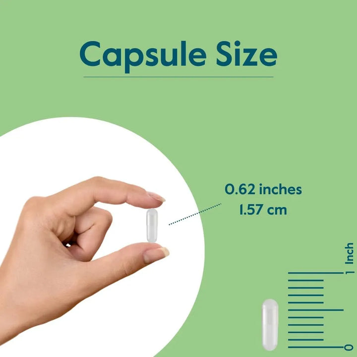 Picolinato De Zinc 50 Mg 240 Cápsulas Efectivas Sin Estearat - Imagen 5