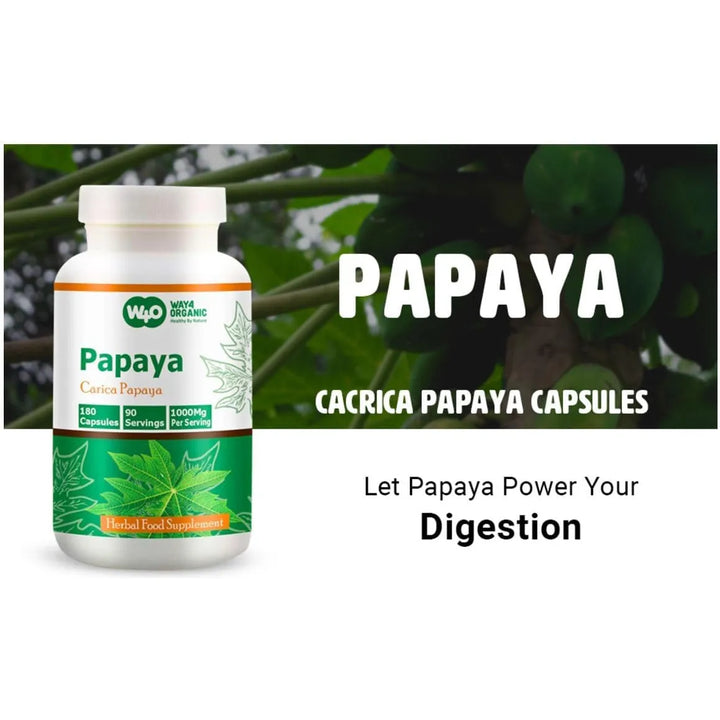 Cápsulas De Extracto De Hoja De Papaya 180 Píldoras 1000 Mg - Imagen 4