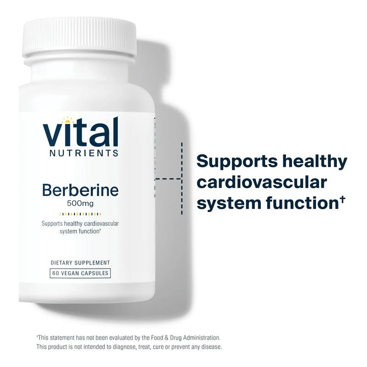 Berberina 500 Mg Apoya Función Intestinal Y Niveles Normales - Imagen 6