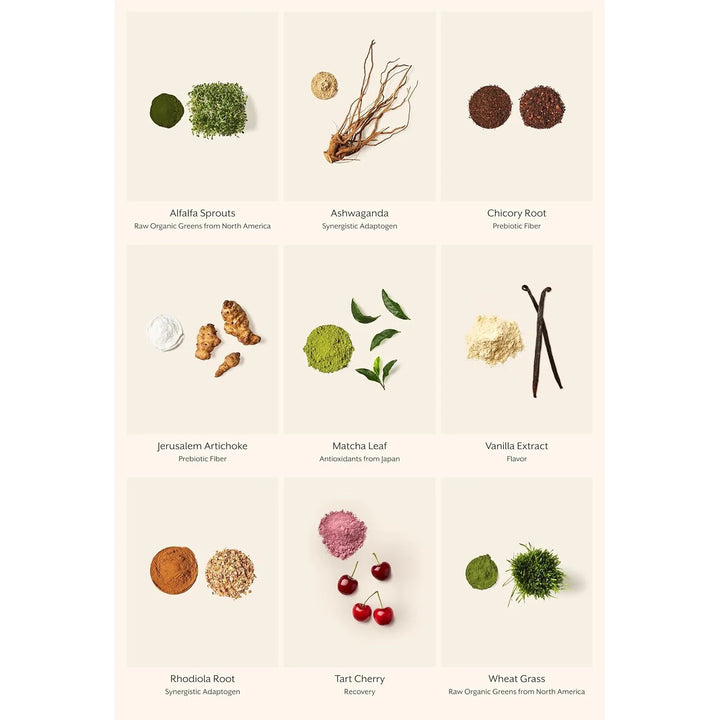 Mezcla Cruda De Superalimentos De Verduras Con Alfalfa Germi - Imagen 6
