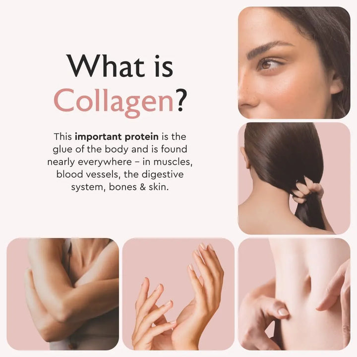 Cápsulas De Péptidos De Colágeno Hidrolizados Múltiple Tipo - Imagen 3