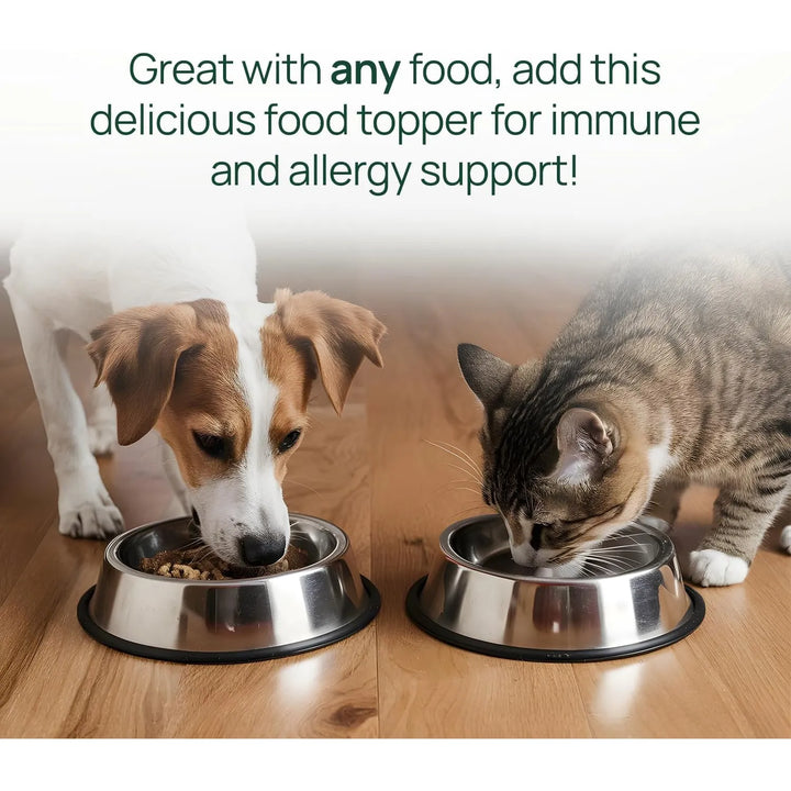 Aceite De Salmón Para Mascotas Control De Desprendimiento Al - Imagen 5