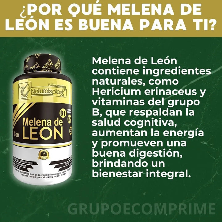 Melena De Leon Organica Hongo Natural - Imagen 4