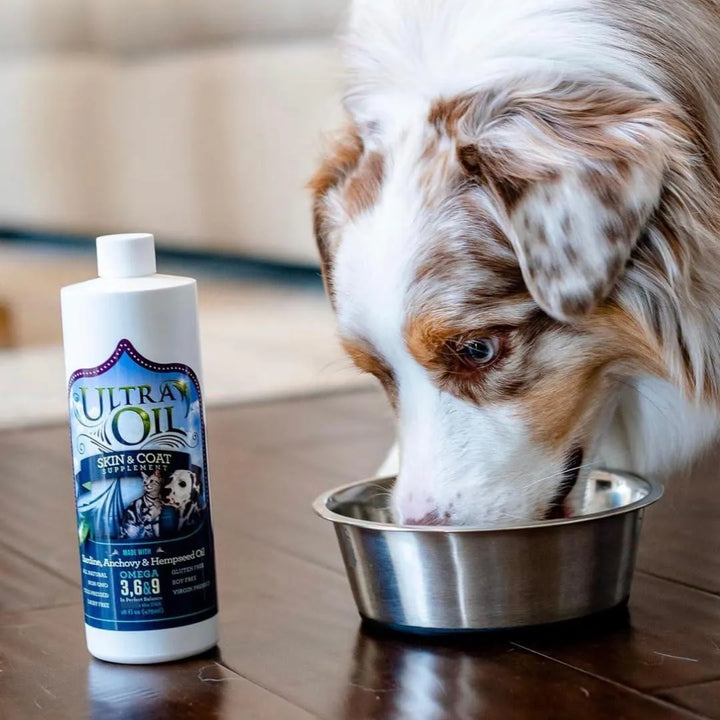 Aceite Ultra Hidratante Para Piel Y Pelaje De Perros Y Gatos - Imagen 5