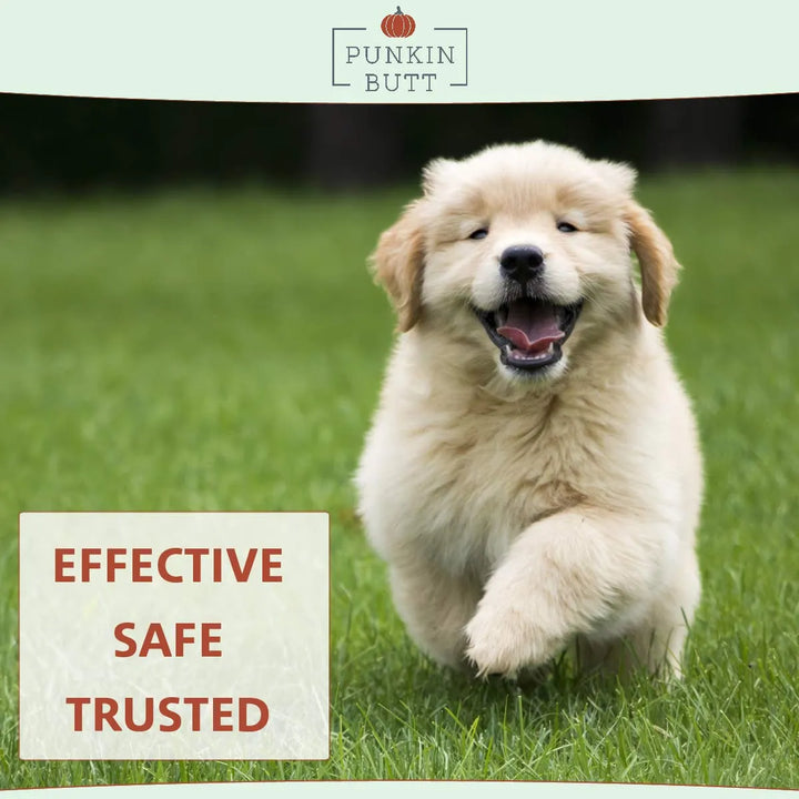 Aceite Dentición Cachorros Alivio Molestias Natural Orgánico - Imagen 4