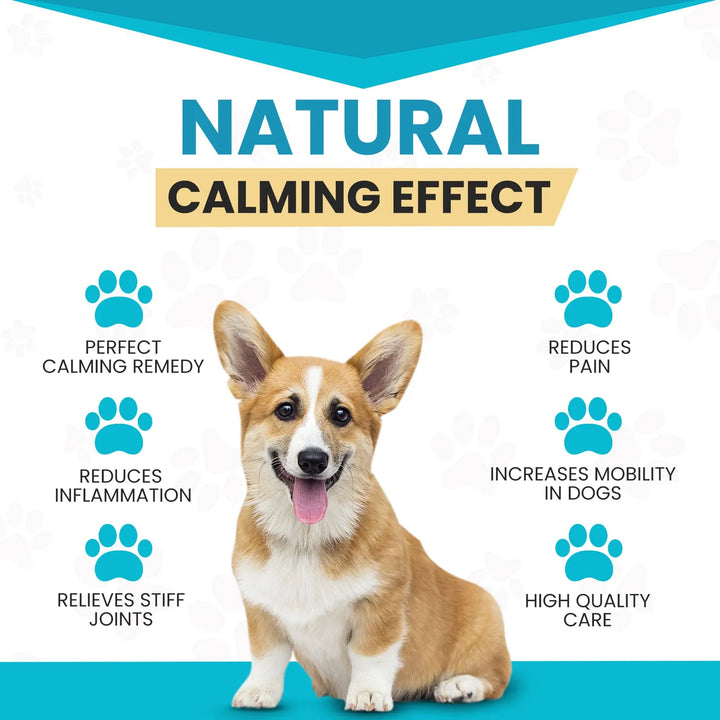 Aceite De Cáñamo 5000 Mg Para Perros Y Gatos Alivio Ansiedad - Imagen 3