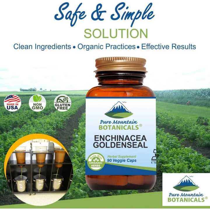Cápsulas Kosher De 450 Mg De Sello De Oro De Equinácea Orgán - Imagen 3