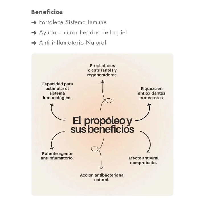Gomas Propóleo Sistema Inmune - Imagen 3