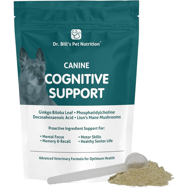 Suplemento Cognitivo Canino Con Gingko Biloba Y L Carnosina Para Memoria Y Vitalidad