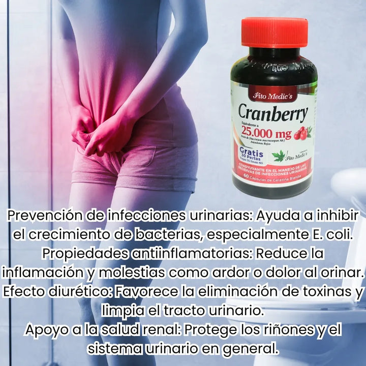 Cranberry Arandano Alta Calidad - Imagen 3