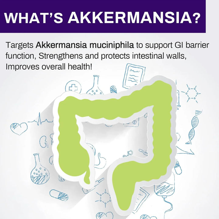 Probióticos Akkermansia Muciniphila 300 Mil Millones Para Sa - Imagen 3