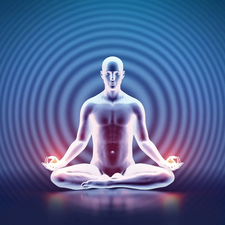 Citrato De Magnesio + Omega 3 - Imagen 4