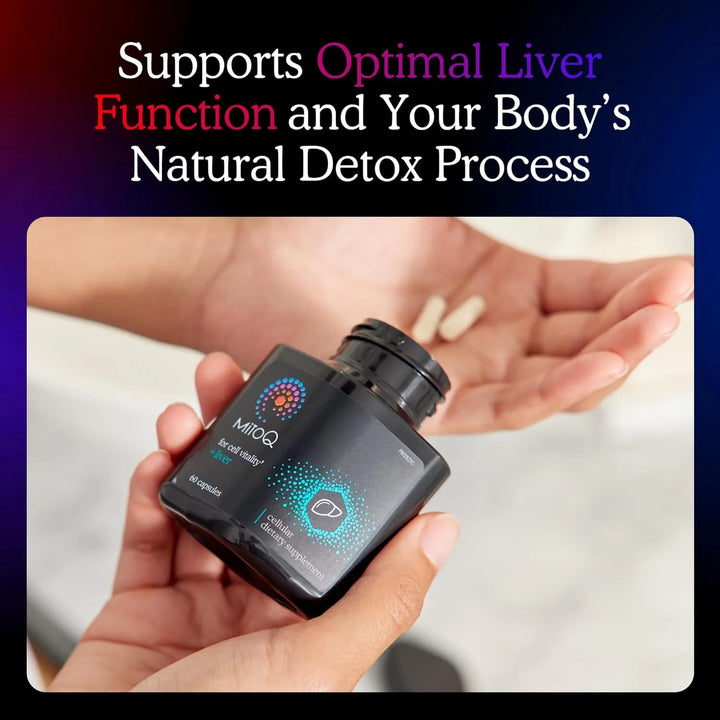 Mitoq Hígado Premium Coq10 Antioxidante Mesilato De Mitoquin - Imagen 3