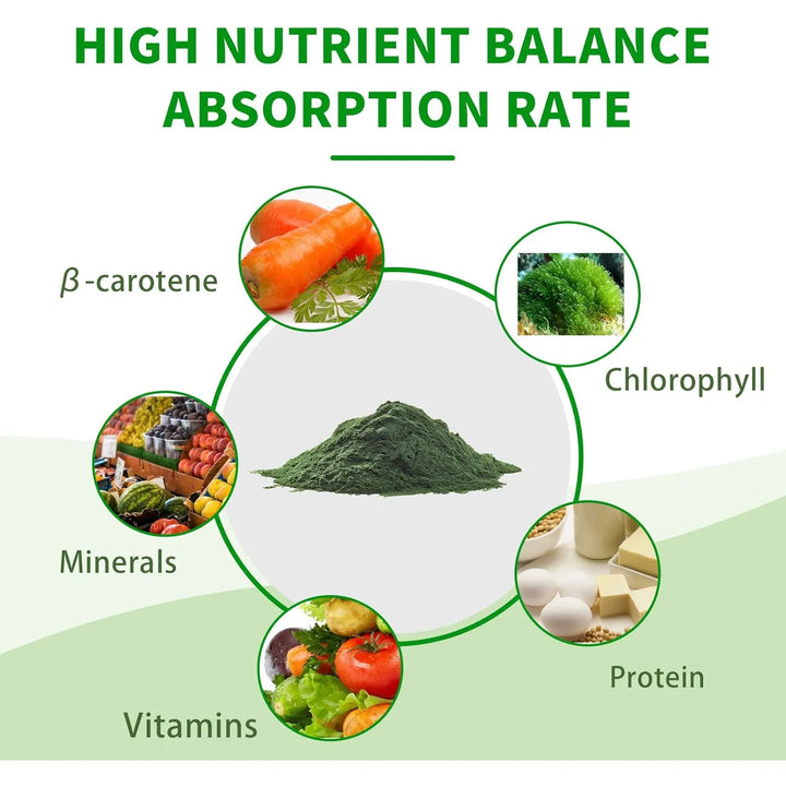 Polvo De Espirulina Orgánica Alto En Proteínas Energizante C - Imagen 4