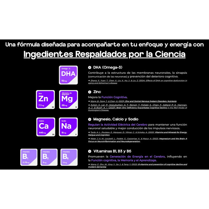 Focus Booster Suplemento Natural Con Melena De Leon - Imagen 3