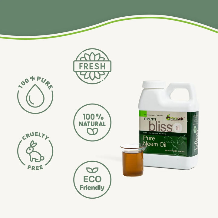 Aceite Puro Neem Bliss 100% De Semillas Prensadas Del Árbol - Imagen 3