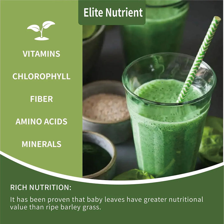 Polvo De Espirulina Orgánica Alto En Proteínas Energizante C - Imagen 6