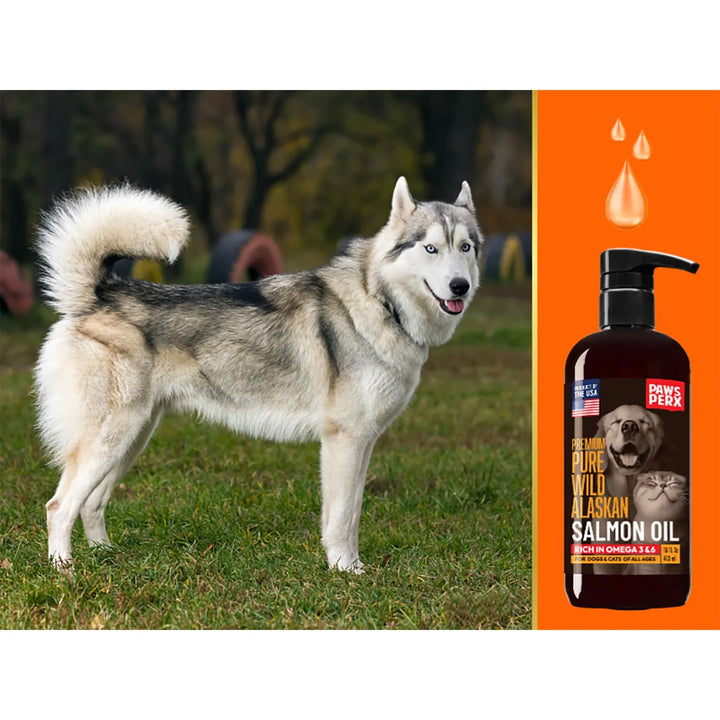 Aceite De Salmón Puro De Alaska Para Mascotas Omega 3 Alta C - Imagen 4
