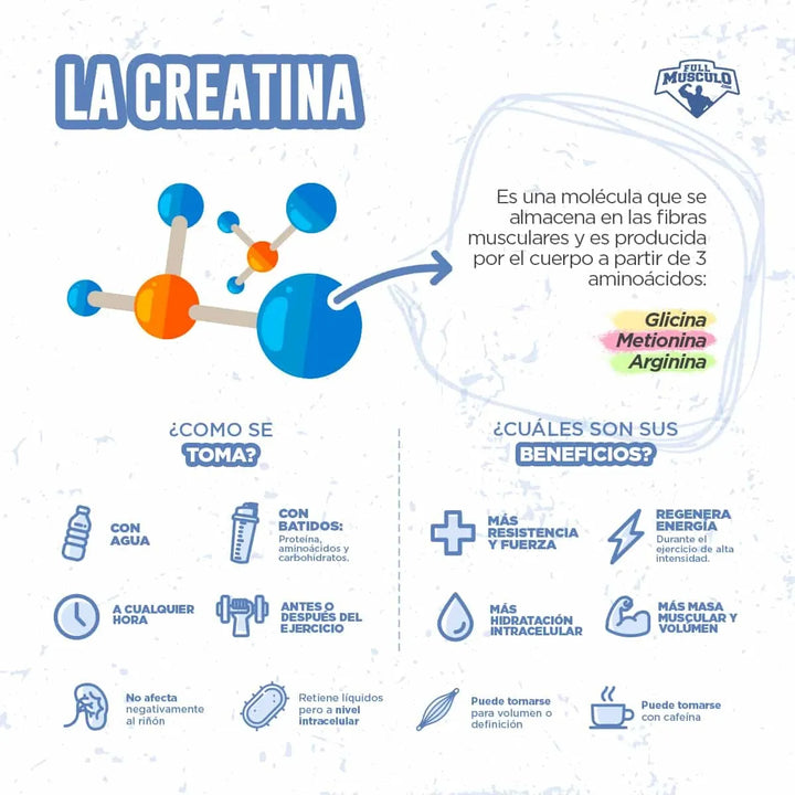 Creatina Monohidratada 120 Capsulas 3 Grms X Servicio De 4 Capsulas Para Hombres Y Mujeres Healthy Sports - Imagen 3