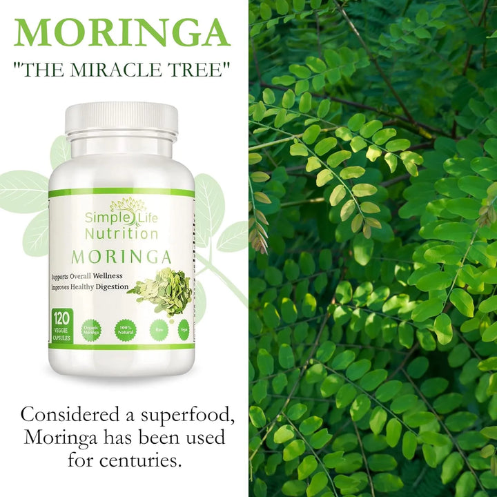 Cápsulas De Polvo De Moringa Orgánica Extracto De Hoja Oleíf - Imagen 5