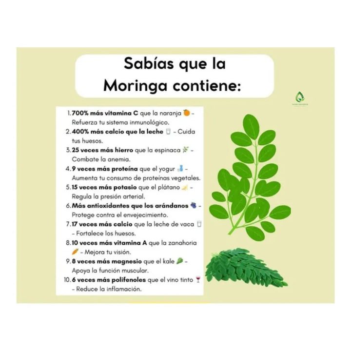Moringa X 360 Ml Natural - Imagen 4