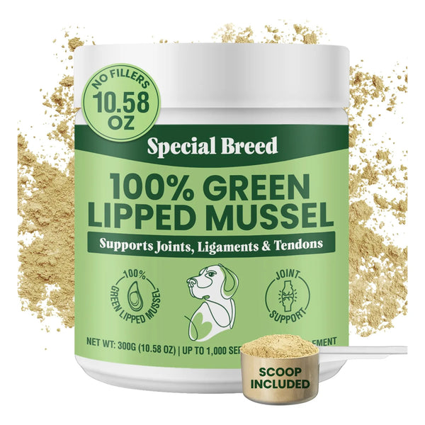 Polvo De Mejillones Labios Verdes Para Articulaciones De Perros Y Gatos 300g Importado