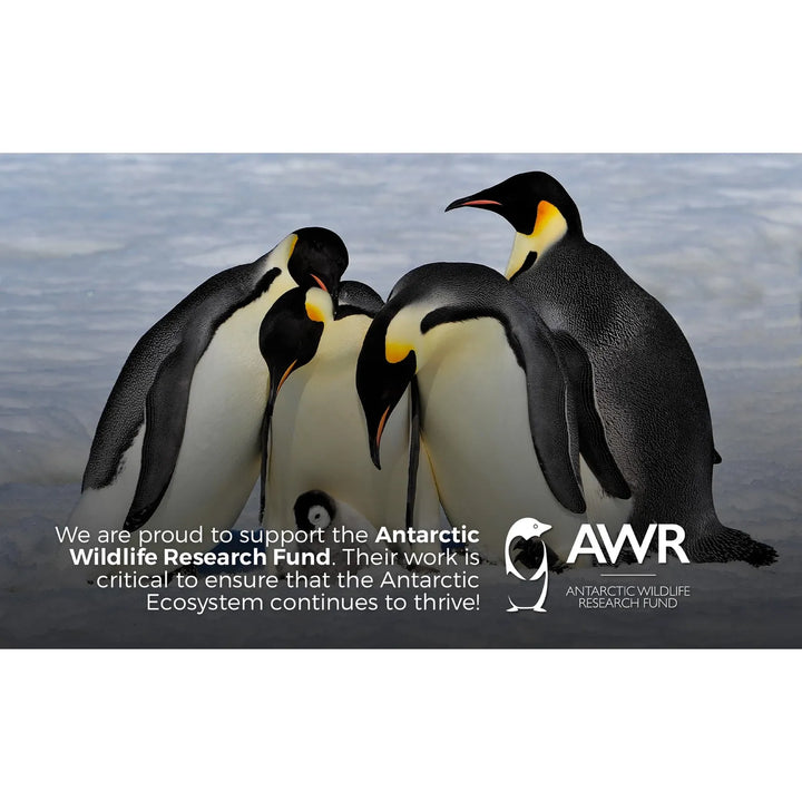 Aceite De Krill Antártico Puro 1000 Mg 60 Días Epa Dha Omega - Imagen 4