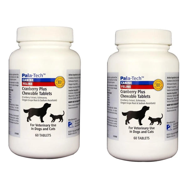 Capsulas Masticables De Arandano Para Perros Y Gatos 60 Unid Salud Urinaria
