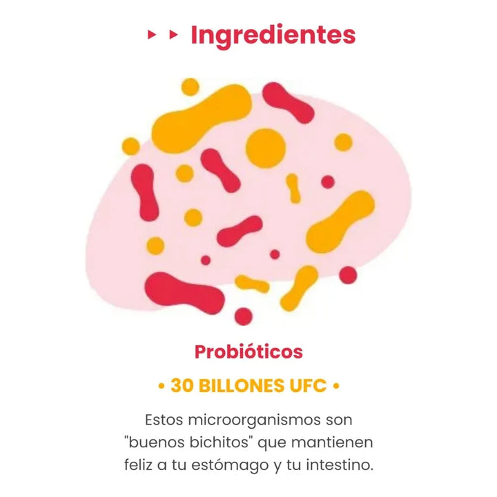 Gomitas Probióticos Digestion - Imagen 7