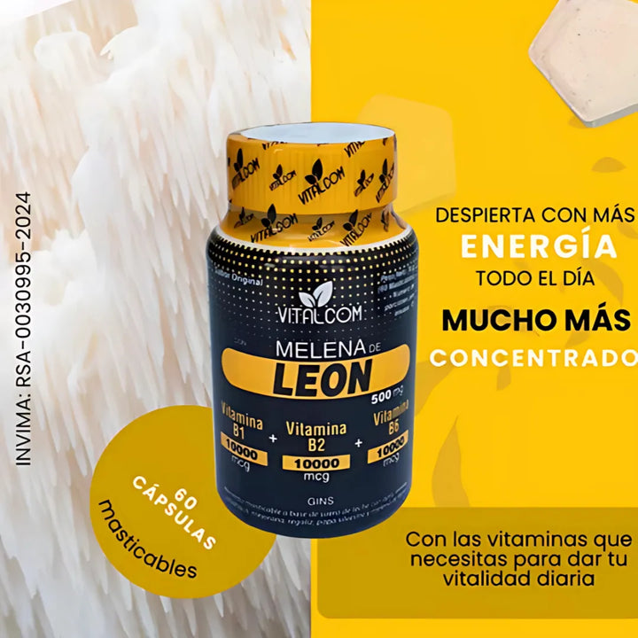 Melena De Leon Por 60 Capsulas Puro Organica 500mg Natural - Imagen 9