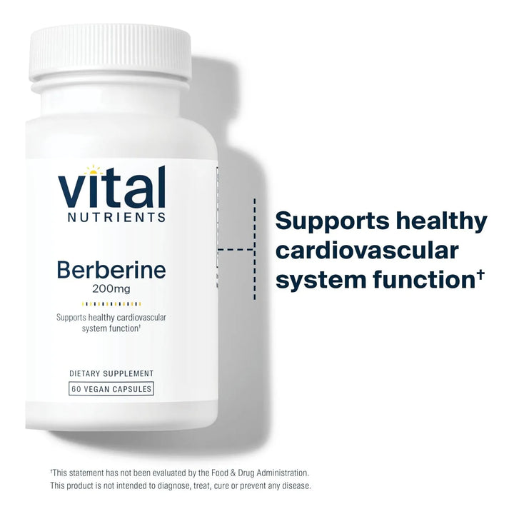 Berberina 200 Mg Apoyo Función Intestinal Niveles Triglicéri - Imagen 6
