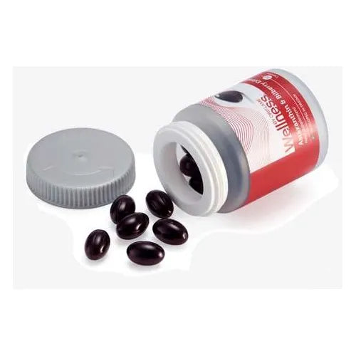 Comple Astaxantina De Arándano Arándanos - Imagen 2