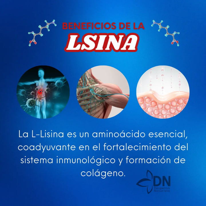 Lisina × 60 Softgels Natural Systems  - Imagen 3