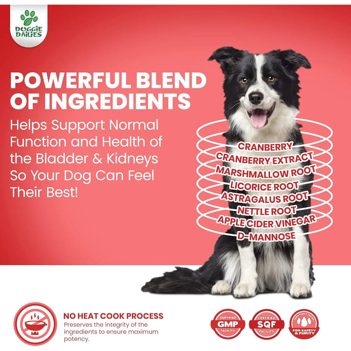 Masticables Suaves Para Perros De Arándano 225 Unidades Sopo - Imagen 7