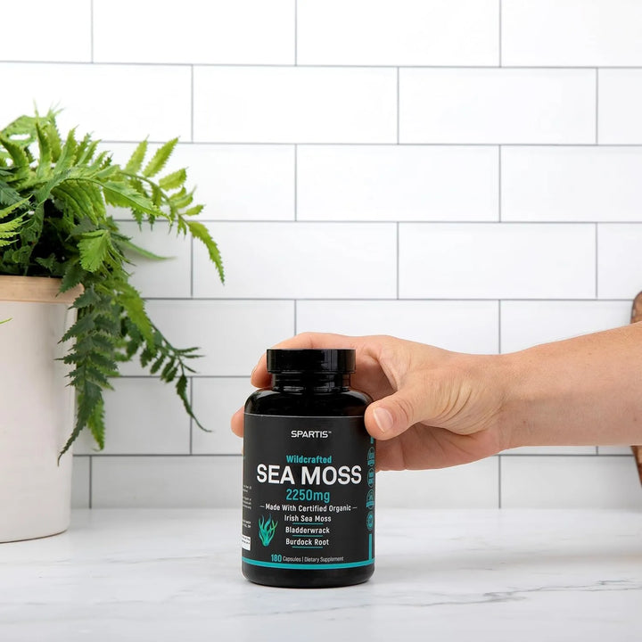 Cápsulas De Musgo Marino Orgánico 2250 Mg Con Raíz De Bardan - Imagen 6
