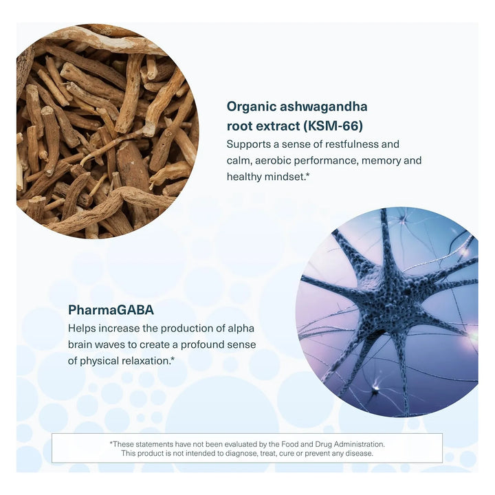 Ashwagandha 1000 Mg Con Gaba 100 Mg Para Estrés Y Memoria 60 - Imagen 5