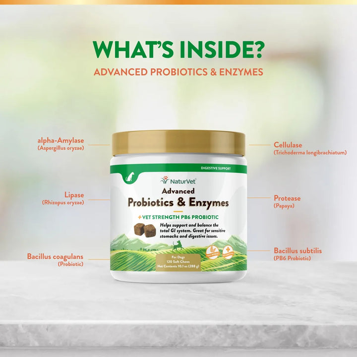 Probióticos Avanzados Veterinarios Con Enzimas Para Salud Di - Imagen 5