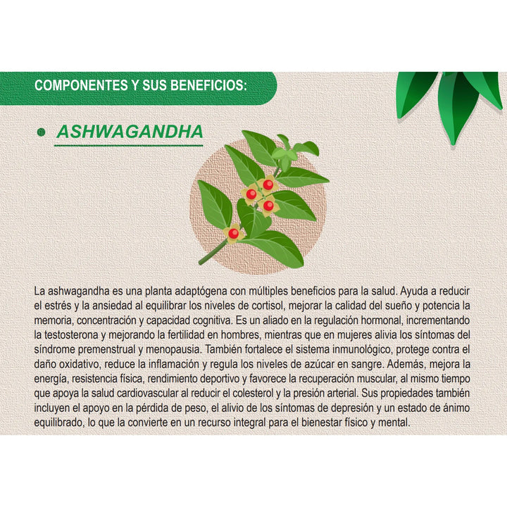Ashwagandha Puro En Polvo 250gr - Imagen 3