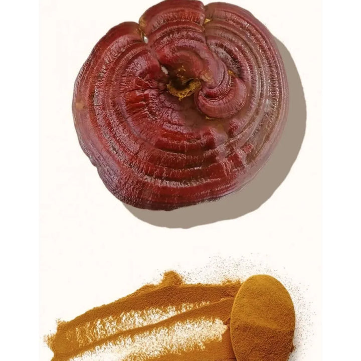 Reishi Ganoderma Vitalsetas 60g Natural - Imagen 3