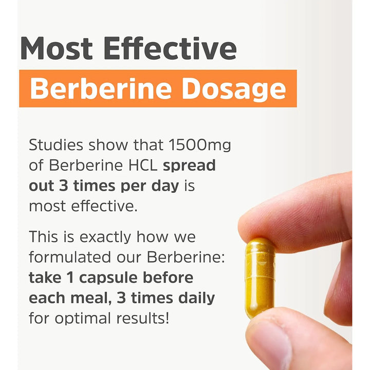 Berberina Ultra Pura 500 Mg 90 Cápsulas Potentes Soporte Dia - Imagen 5