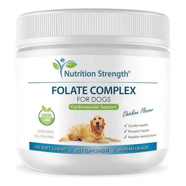 Folato Para Perros Salud Cardiovascular Prenatal Adn Manteni - Imagen 1