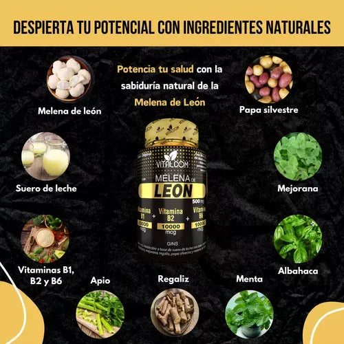 Melena De Leon Por 60 Capsulas Puro Organica 500mg Natural - Imagen 2