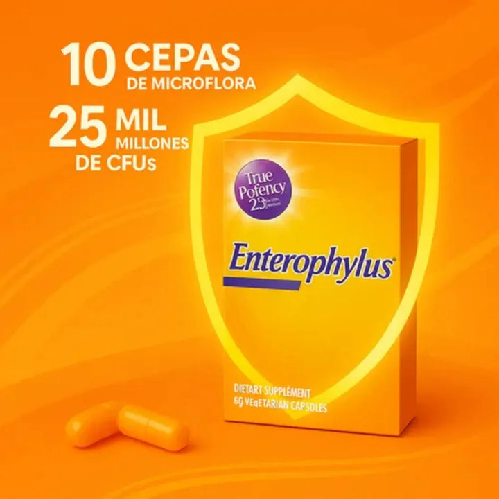 Enterophylus Healthy America Probioticos X60 - Imagen 4