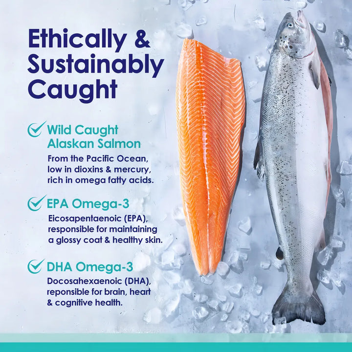 Aceite De Salmón Salvaje De Alaska Para Perros Omega 3 Piel - Imagen 4