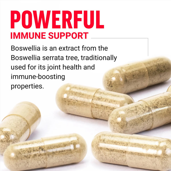Cápsulas Extracto Boswellia Apoyo Inmunológico Salud Articul - Imagen 3