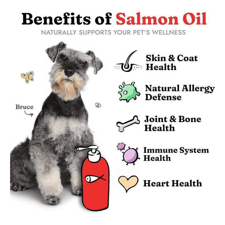 Aceite De Salmón Natural Para Perros Y Gatos Omega 3 Epa Dha - Imagen 2