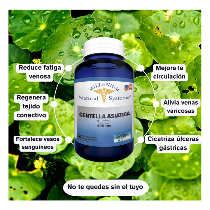 Centella Asiática 400mg ×60 - Imagen 5
