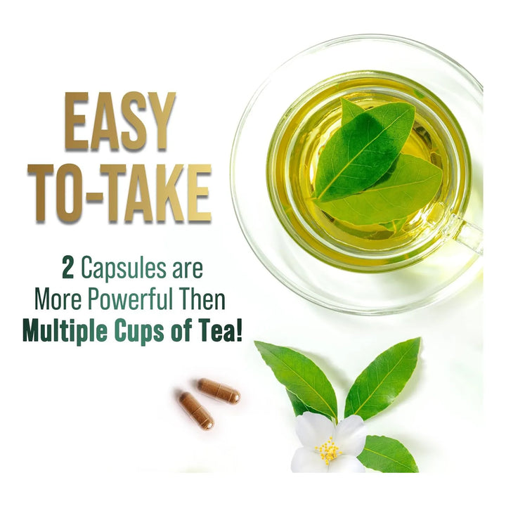 Cápsulas De Extracto De Té Verde 1000 Mg Con Egcg 98% Polife - Imagen 6