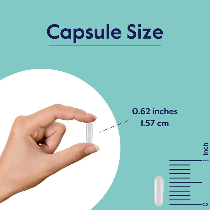 Benfotiamina 150 Mg 120 Cápsulas Sin Estearatos Sin Dióxido - Imagen 5