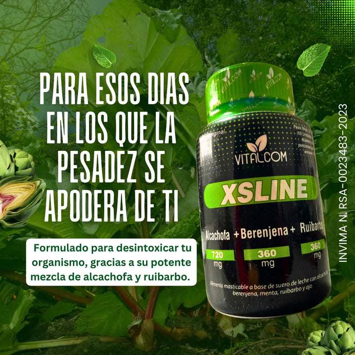 Xsline Capsulas Detox Adelgazante Natural Drenador Hepatico - Imagen 6